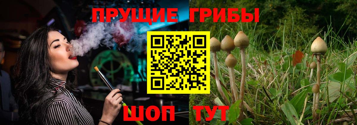 Галлюциногенные грибы мицелий Фрязино