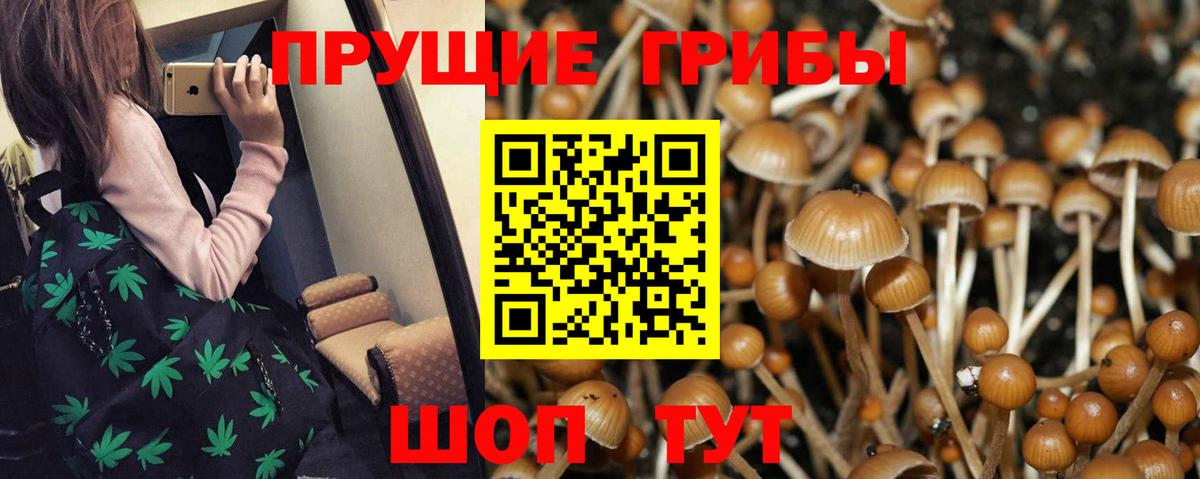 Галлюциногенные грибы Magic Shrooms  Вход с VPN  Фрязино 