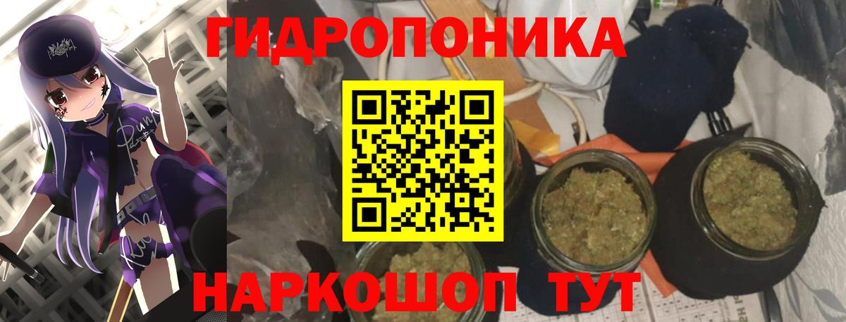 Каннабис план  Вход с VPN  МАРИХУАНА Bruce Banner  Фрязино  Конопля сатива  Марихуана Bruce Banner 